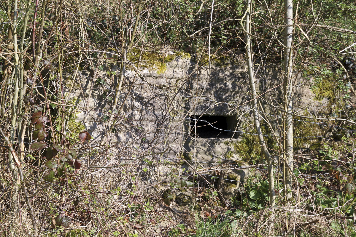 Ligne Maginot - Blockhaus TRIEUX HANNOY bis - Petit bloc situé sous le bloc principal