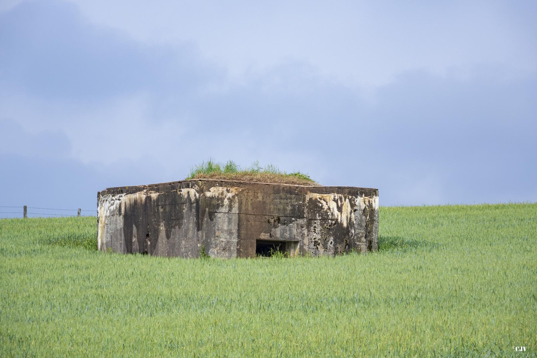 Ligne Maginot - RODENBERG 4 - (Blockhaus pour arme infanterie) - 