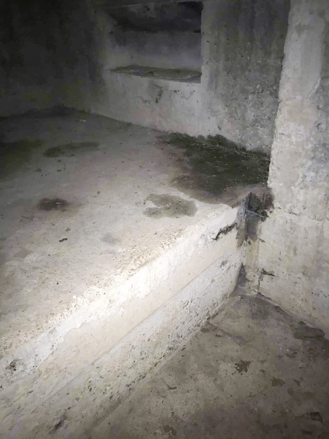 Ligne Maginot - PORT DE FORT-LOUIS - (Blockhaus pour arme infanterie) - Plateforme bétonnée