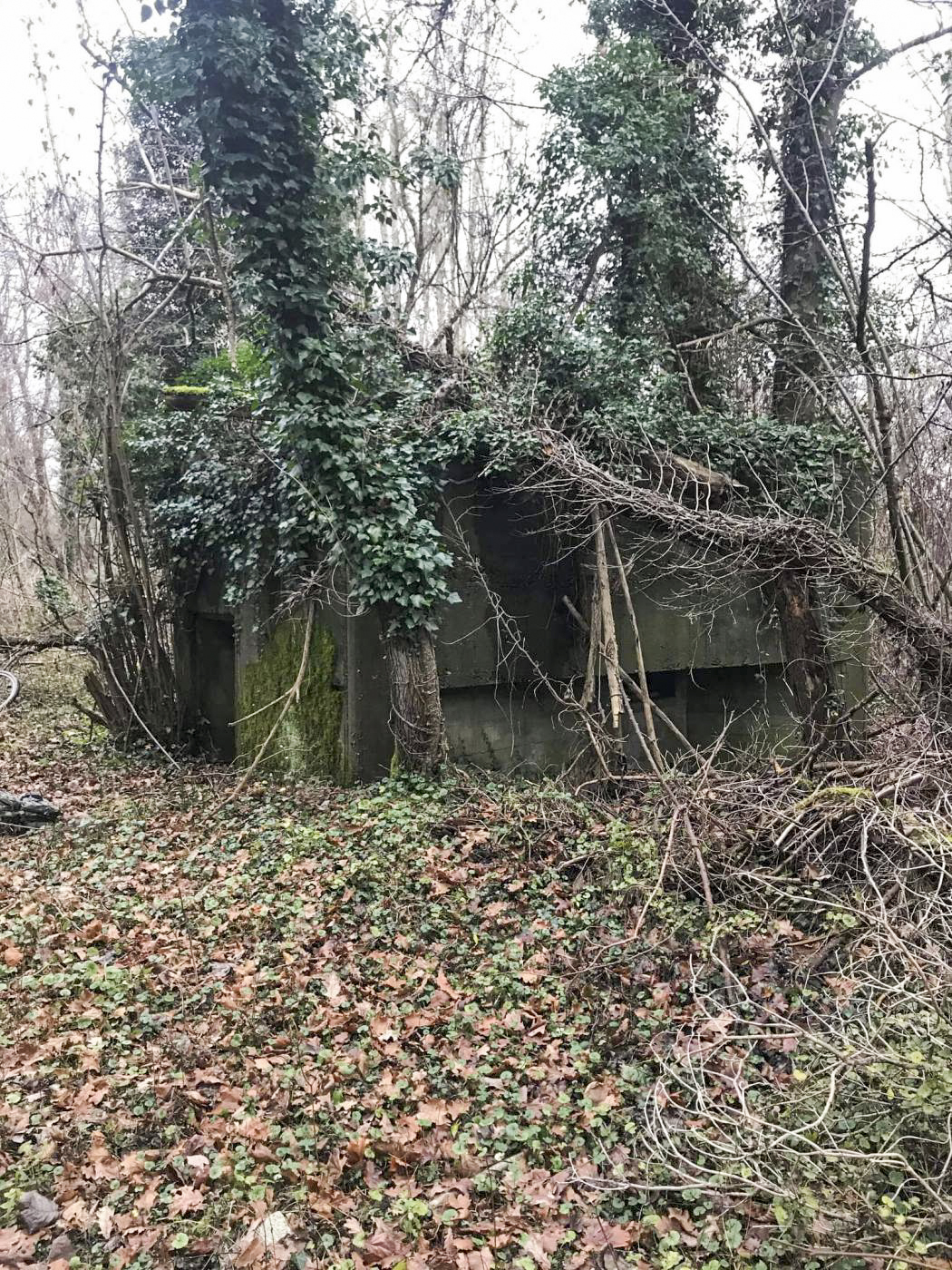 Ligne Maginot - MUEHLBACH 2 - (Blockhaus pour arme infanterie) - 