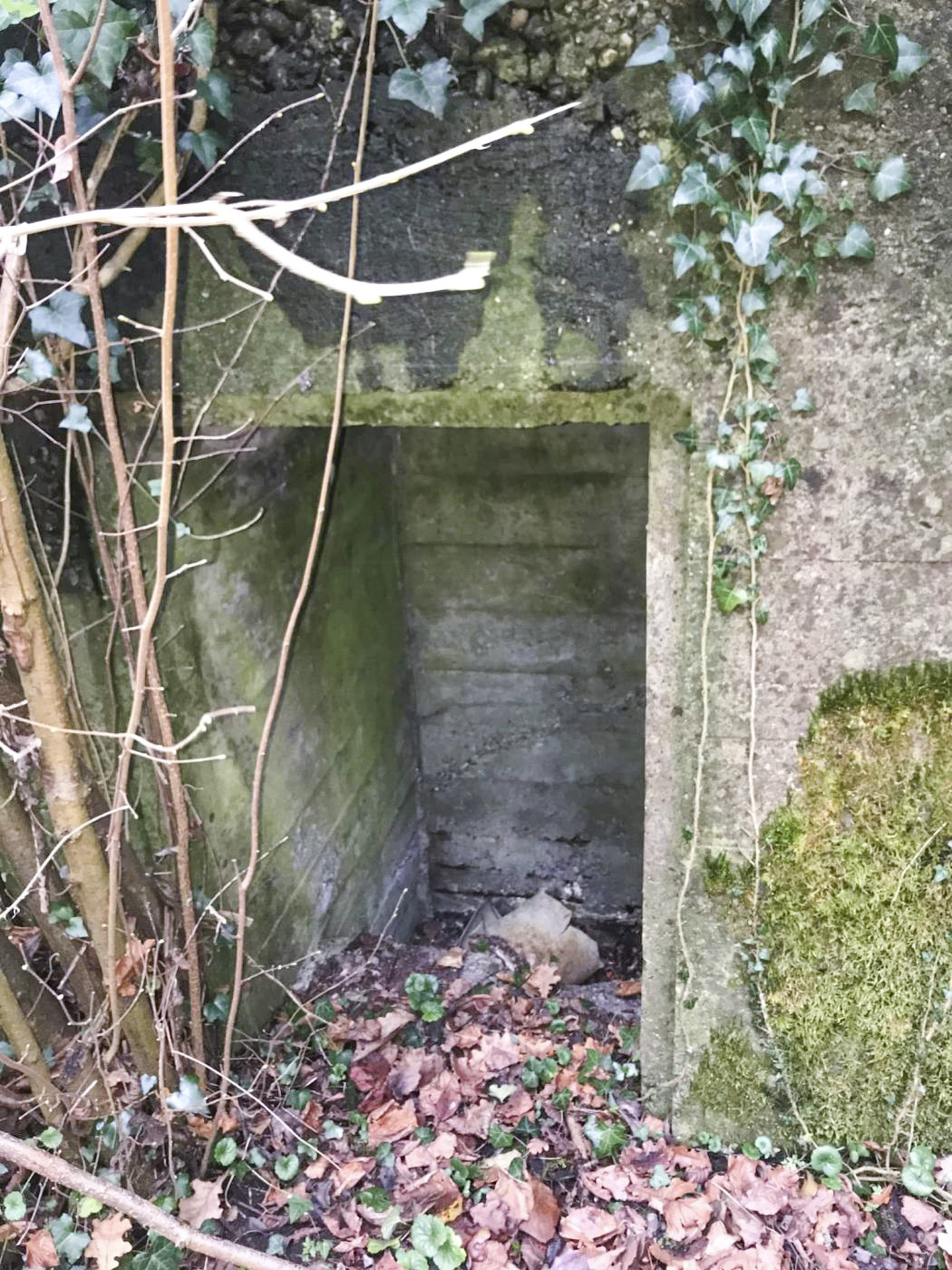 Ligne Maginot - MUEHLBACH 2 - (Blockhaus pour arme infanterie) - 
