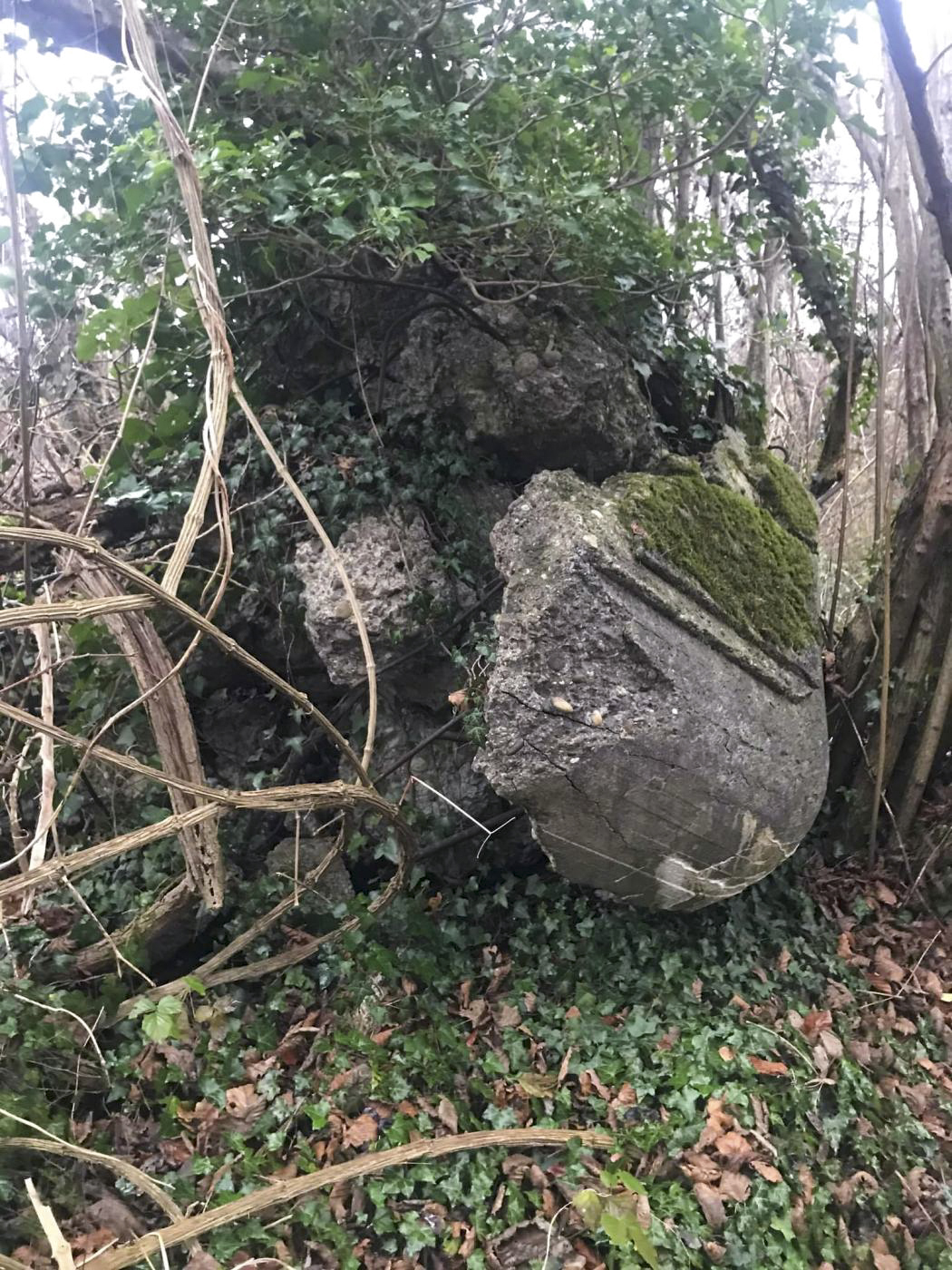 Ligne Maginot - SURYSCHER - (Blockhaus pour arme infanterie) - Les ruines