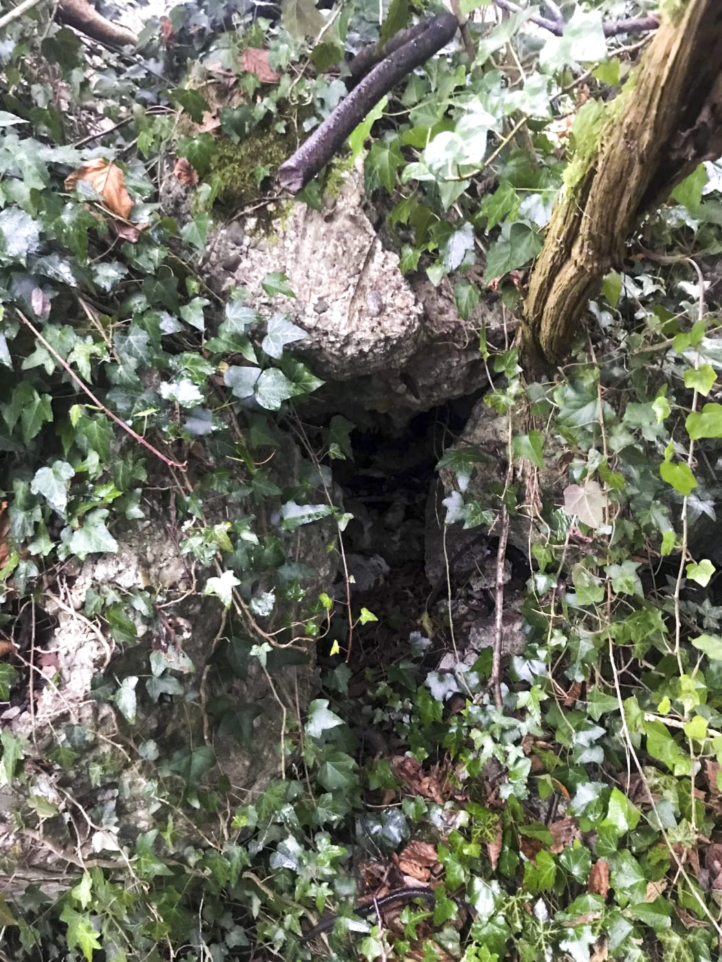 Ligne Maginot - SURYSCHER - (Blockhaus pour arme infanterie) - Les ruines