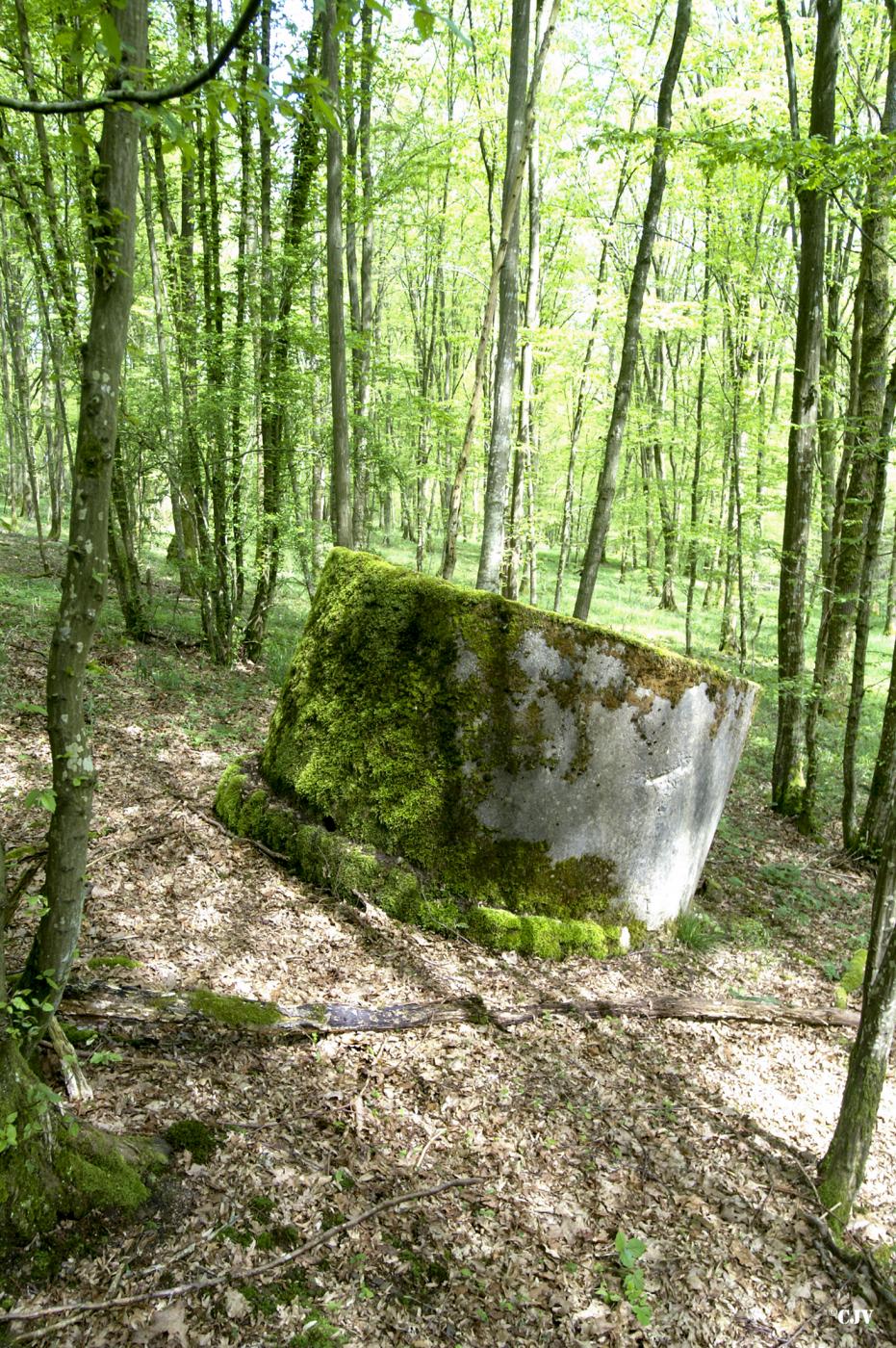 Ligne Maginot - T566 - SAINTE HILTRUDE - (Cuve pour arme d'infanterie) - 