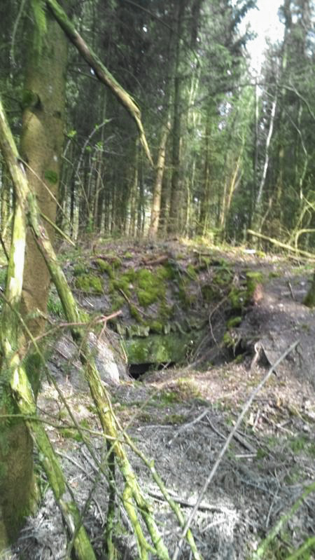 Ligne Maginot - LANGSTWALD (CM1 - I/174° RMIF - SOUS-QUARTIER LANGSTWALD) - (PC de Sous-Quartier) - Zone en travaux forestier