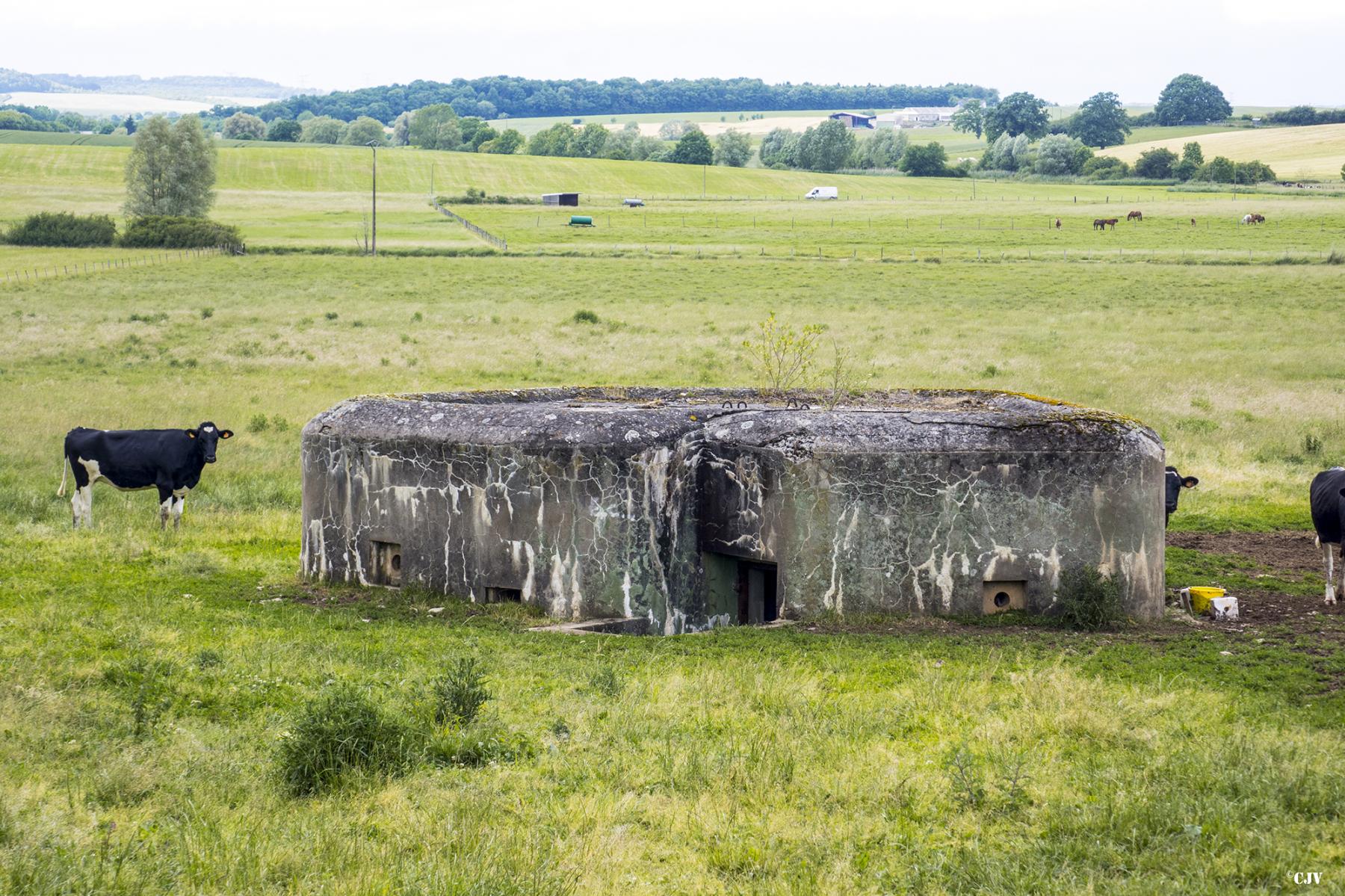 Ligne Maginot - M121B - BREITMATT OUEST - (Blockhaus pour arme infanterie) - 