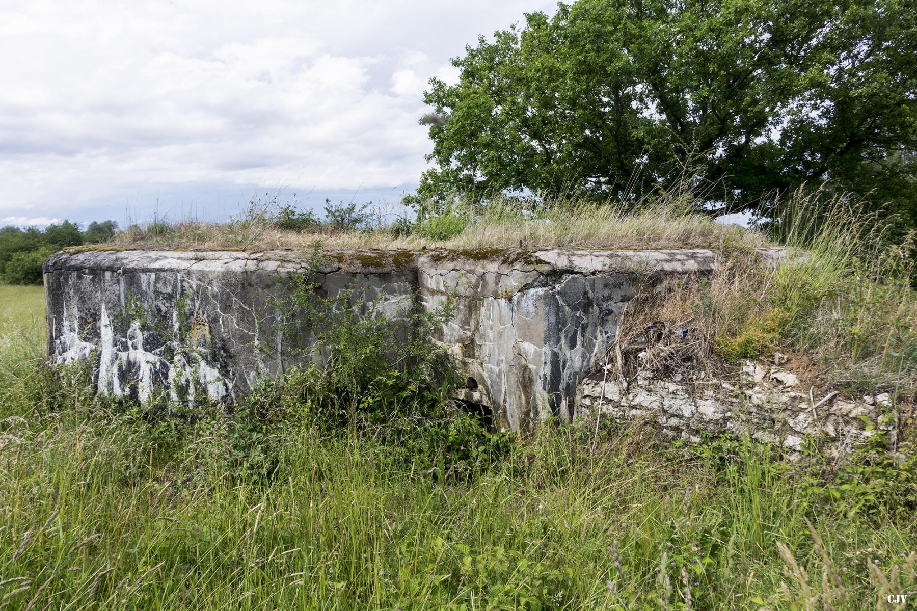 Ligne Maginot - M124 - KLEINBACH - (Blockhaus pour arme infanterie) -  - Lia VERMEULEN