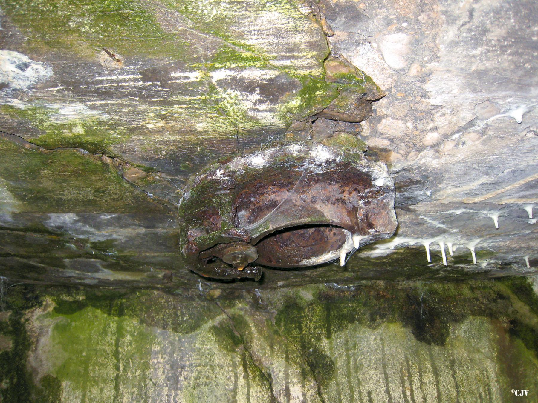 Ligne Maginot - DB26 - (Blockhaus pour canon) - L'orifice du périscope - Lia VERMEULEN