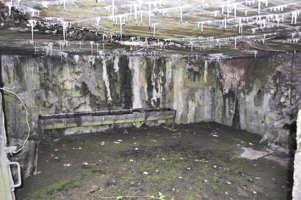 Ligne Maginot - DB26 - (Blockhaus pour canon) - Il ne reste aucune trace du créneau ni du support pour le canon mais il subsiste l'emplacement pour le périscope dans la dalle supérieure. - Pruzsina jérome