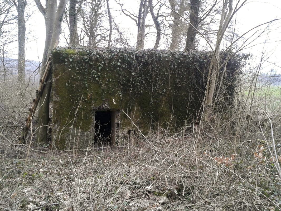 Ligne Maginot - DB230 - PINAUSET - (Blockhaus pour canon) - L'ouvrage vu de côté.  - Christian RICHON/Devoitine520