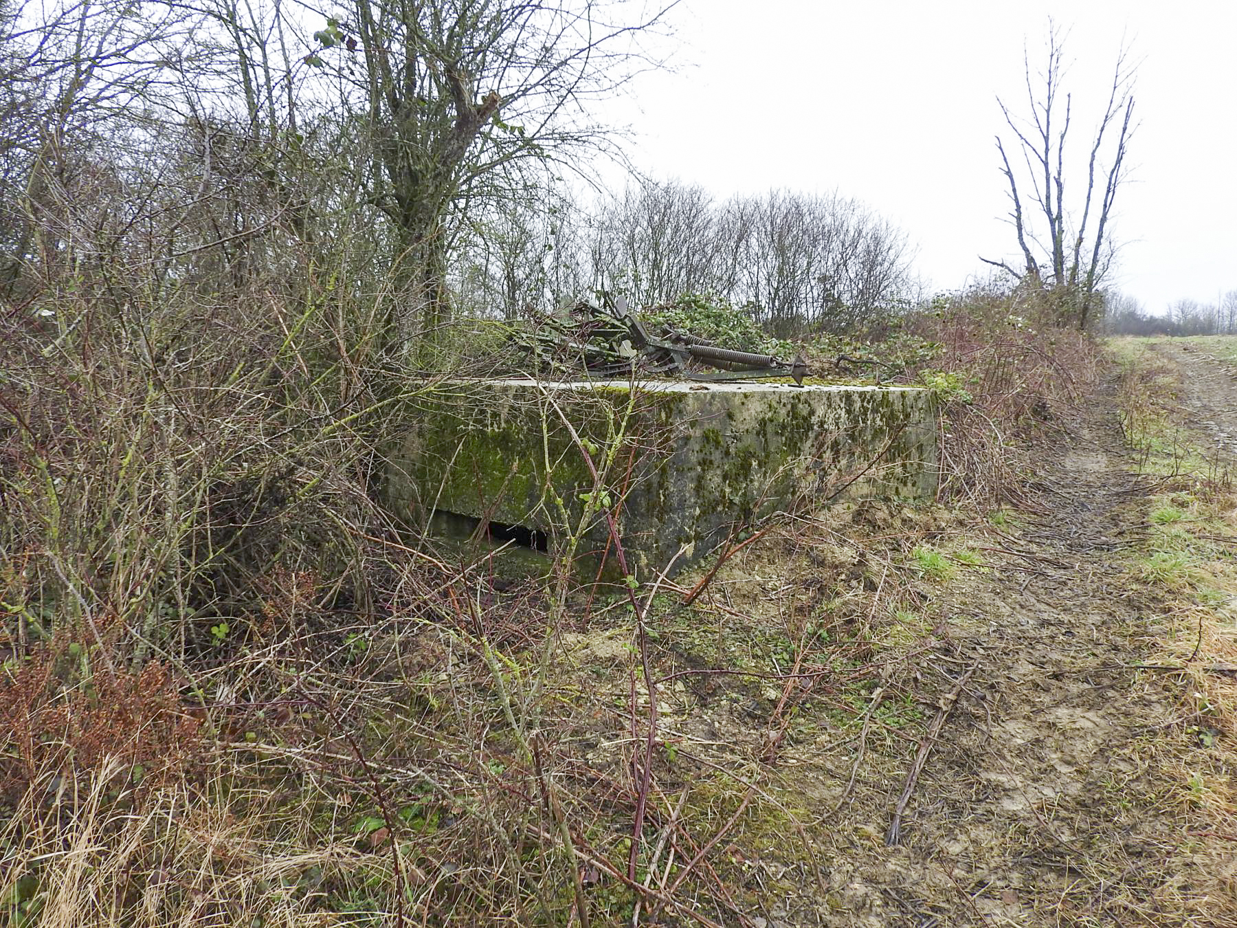 Ligne Maginot - HOLLERSWIESE 2 - (Blockhaus pour arme infanterie) - La façade de tir. - STENGER Mathieu