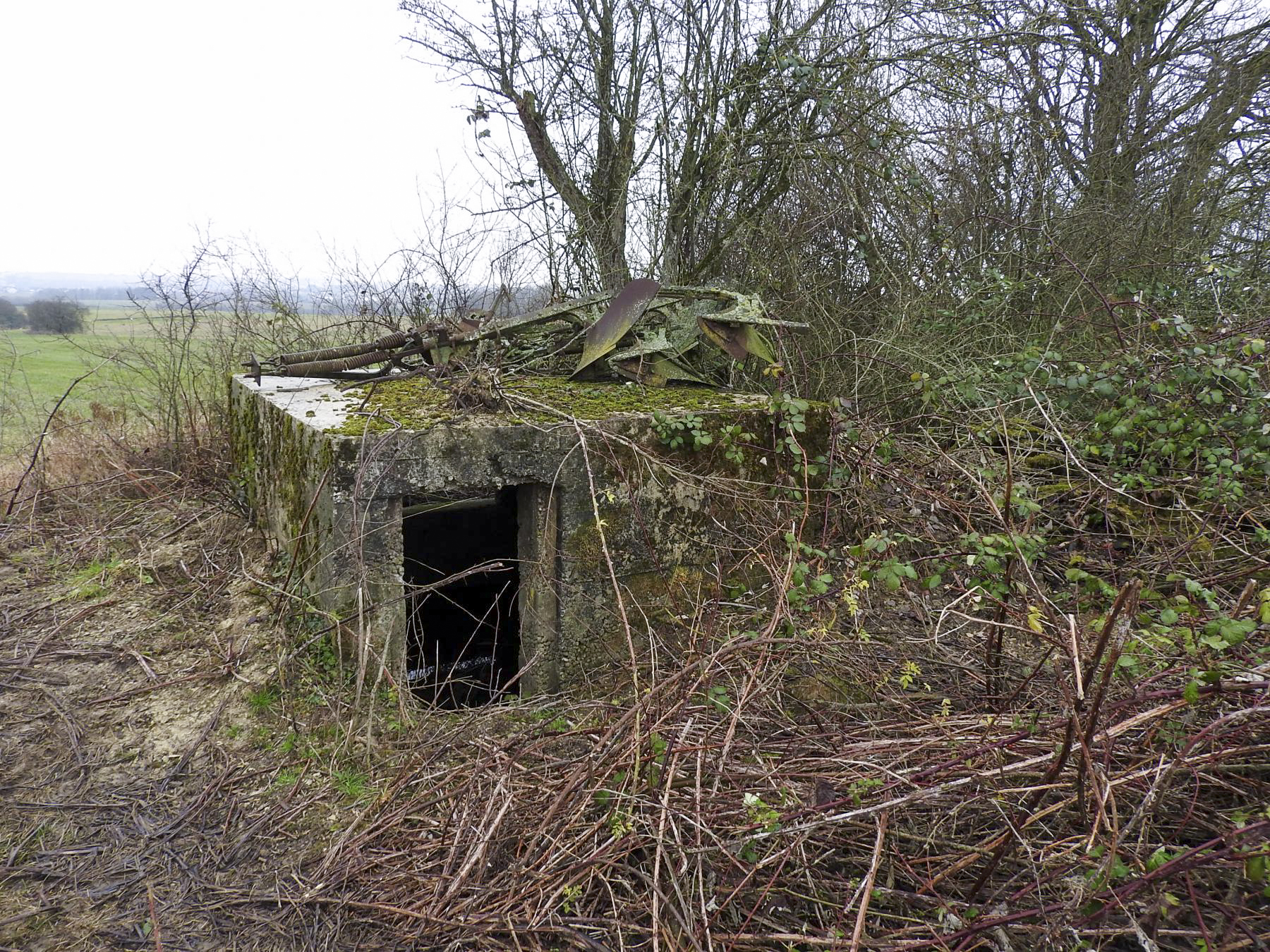 Ligne Maginot - HOLLERSWIESE 2 - (Blockhaus pour arme infanterie) - La façade arrière avec l'entrée. - STENGER Mathieu