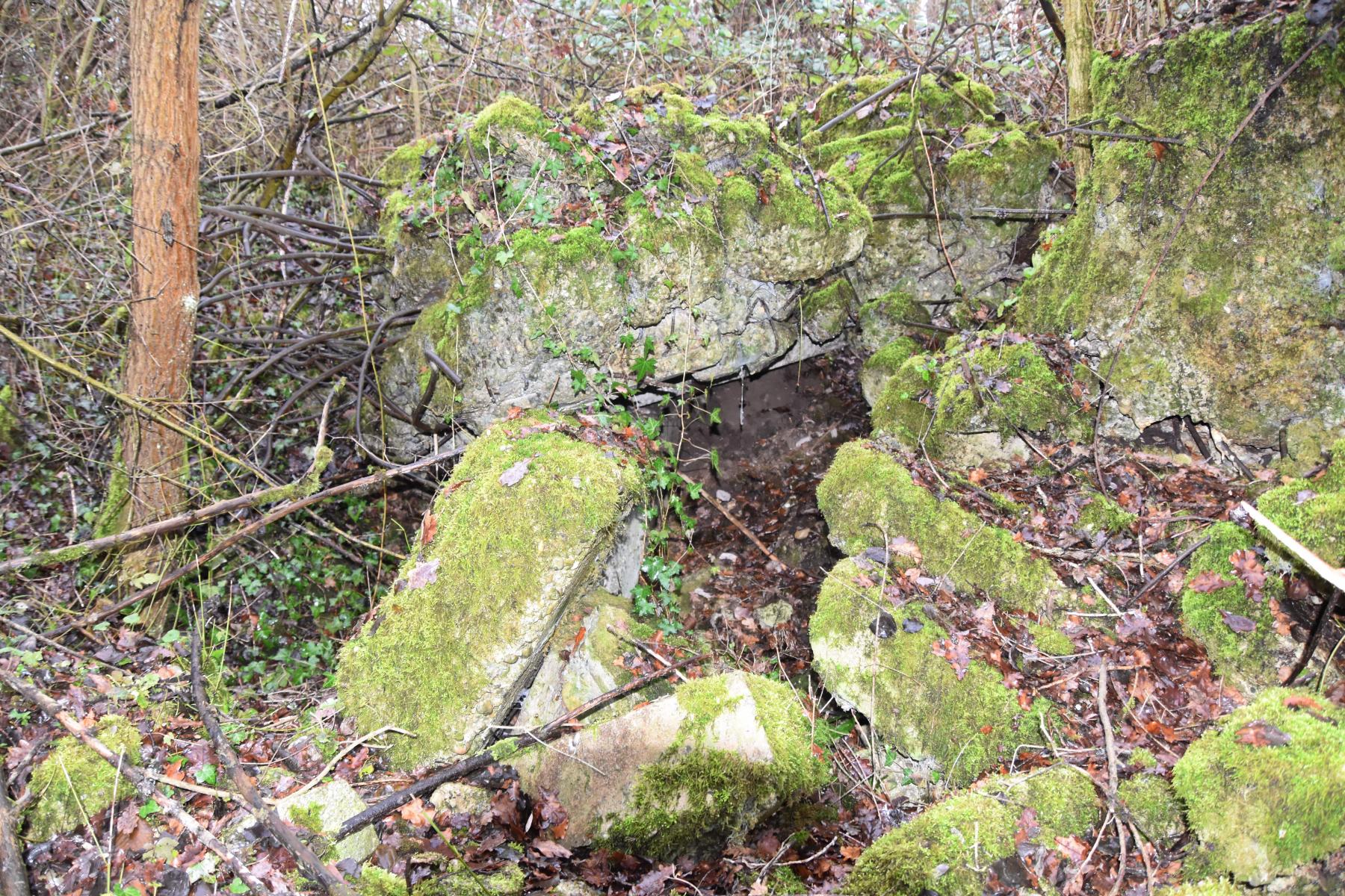 Ligne Maginot - 6/1 - CHALAMPE BERGE SUD - (Casemate d'infanterie - Double) - Abri à l'arrière de la casemate 