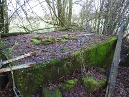Ligne Maginot - RIMERSBERG 1 - (Blockhaus pour arme infanterie) - Le blockhaus caché dans un bosquet.