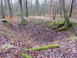 Ligne Maginot - BEWINKEL 2 (CEFV1 - I/174° RMIF) - (PC) - Un emplacement de cagna.