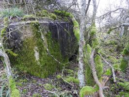 Ligne Maginot - SALWALD 4 - (Blockhaus pour canon) - La façade de tir.