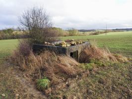 Ligne Maginot - STOECKWALD EST - (Blockhaus pour arme infanterie) - La façade arrière du blockhaus avec l'entrée.