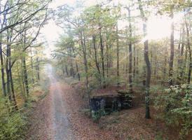 Ligne Maginot - HUEHNERBERG 4 - (Blockhaus pour arme infanterie) - 