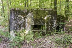 Ligne Maginot - HUEHNERBERG 4 - (Blockhaus pour arme infanterie) - 