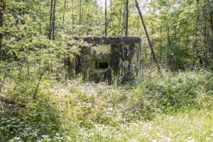 Ligne Maginot - HUEHNERBERG 2 - (Blockhaus pour arme infanterie) - 