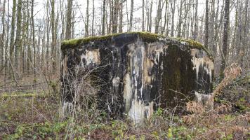 Ligne Maginot - HUEHNERBERG 2 - (Blockhaus pour arme infanterie) - 