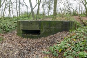 Ligne Maginot - B243 - WERVICQ SUD - (Observatoire indéterminé) - 
