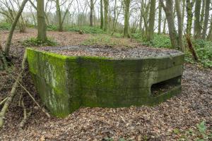 Ligne Maginot - B243 - WERVICQ SUD - (Observatoire indéterminé) - 