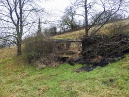 Ligne Maginot - GEBELSWIESE 1 - (Blockhaus pour canon) - La façade de flanquement Ouest-sud-ouest.