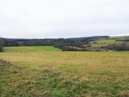 Ligne Maginot - GEBELSWIESE 1 - (Blockhaus pour canon) - Le champ de tir du blockhaus.