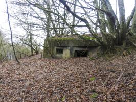 Ligne Maginot - MITTELSMUEHLE - (Blockhaus pour canon) - La façade de tir du blockhaus.