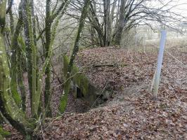 Ligne Maginot - MITTELSMUEHLE - (Blockhaus pour canon) - Une vue du dessus du blockhaus.