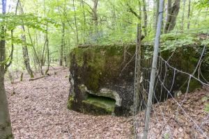 Ligne Maginot - HART OUEST 1 - (Observatoire indeterminé) - 