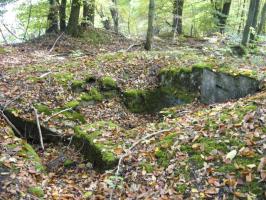 Ligne Maginot - HELLENWALD 1 - (Cuve pour arme d'infanterie) - Vue d'ensemble