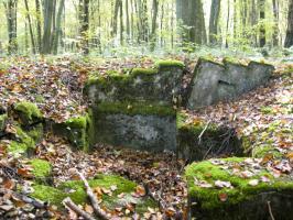 Ligne Maginot - HELLENWALD 1 - (Cuve pour arme d'infanterie) - Vue générale