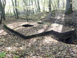 Ligne Maginot - HELLENWALD 2 - (Blockhaus pour arme infanterie) - Vue d'ensemble