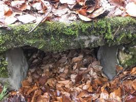 Ligne Maginot - SOUFFLENHEIM NORD - (Dépôt de Munitions) - L’unique niche encore visible