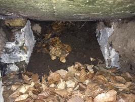 Ligne Maginot - SOUFFLENHEIM NORD - (Dépôt de Munitions) - L’unique niche encore visible