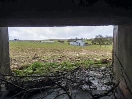 Ligne Maginot - MITTELSMUEHLE OUEST - (Blockhaus pour canon) - Le champ de tir du canon anti-char.