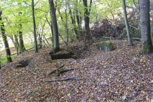 Ligne Maginot - HELLENWALD 8 - (Cuve pour arme d'infanterie) - 