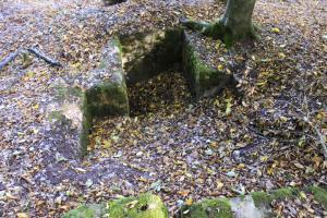 Ligne Maginot - HELLENWALD 8 - (Cuve pour arme d'infanterie) - 