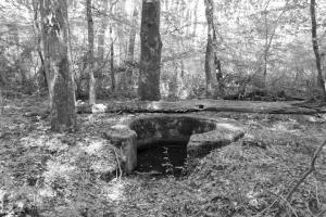 Ligne Maginot - HUEHNERBERG (TD N° 173) - (Cuve pour arme d'infanterie) - Vue générale