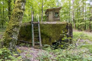 Ligne Maginot - HUEHNERBERG 1 - (Blockhaus pour arme infanterie) - 