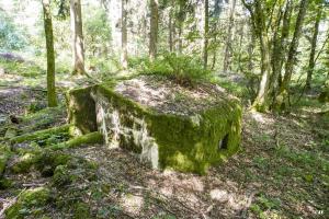 Ligne Maginot - LANGSTWALD 1 - (Blockhaus pour arme infanterie) - 