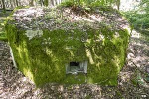 Ligne Maginot - LANGSTWALD 1 - (Blockhaus pour arme infanterie) - 