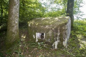 Ligne Maginot - LANGSTWALD 2 - (Blockhaus pour arme infanterie) - 