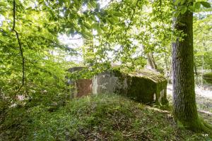 Ligne Maginot - LANGSTWALD 2 - (Blockhaus pour arme infanterie) - 