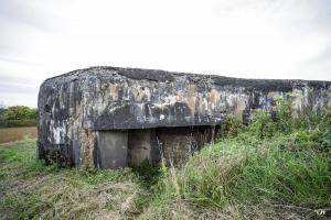 Ligne Maginot - 108 - PALLETTO - (Blockhaus lourd type STG / STG-FCR - Double) - 