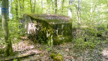 Ligne Maginot - LANGSTWALD 3 - (Blockhaus pour arme infanterie) - 