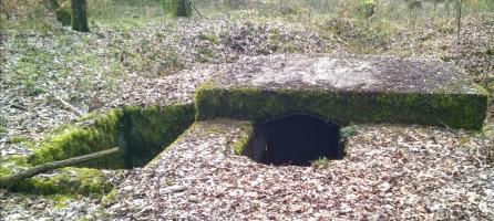 Ligne Maginot - LANGSTWALD 4 (Blockhaus pour arme infanterie) - 