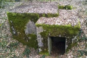 Ligne Maginot - LANGSTWALD 4 (Blockhaus pour arme infanterie) - L'entrée